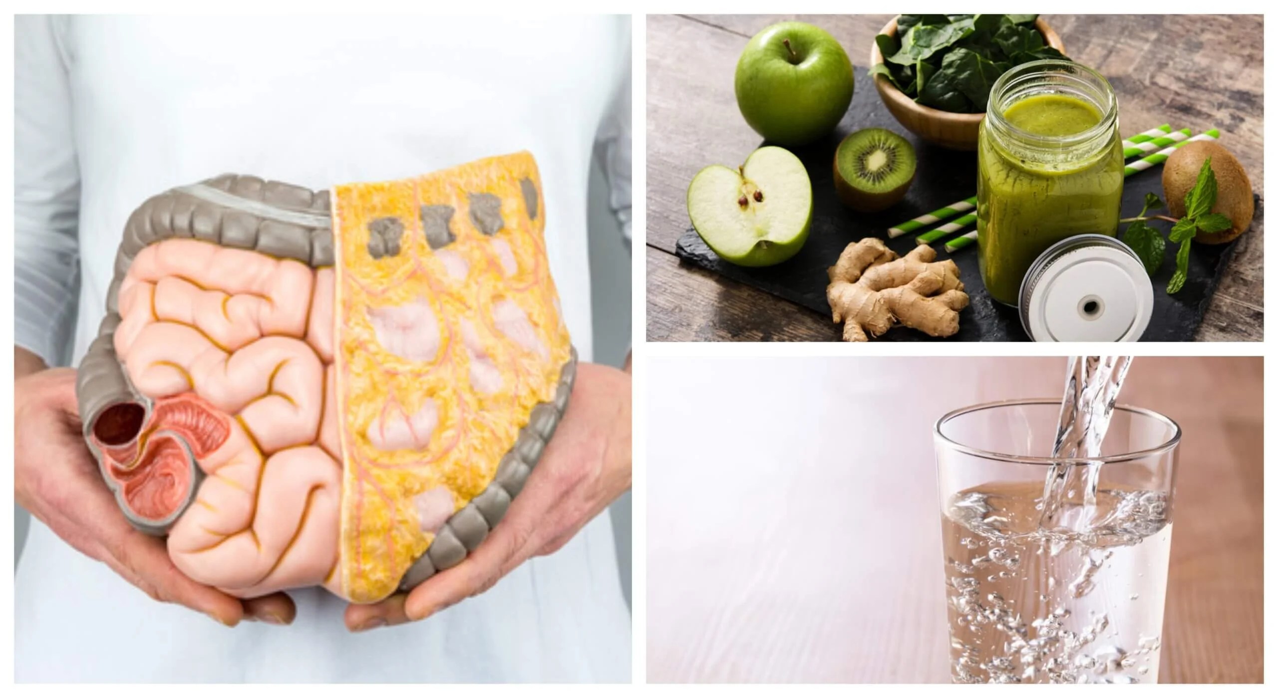 ¿Cómo limpiar el colon de forma natural? — Mejor con Salud