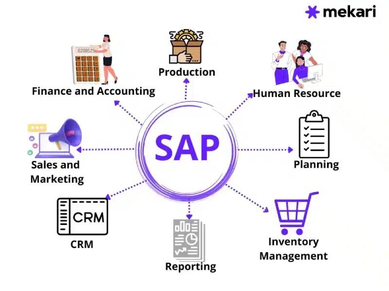 Apa itu SAP Fungsi, Jenis, Penerapan dan Cara Menggunakan(03)