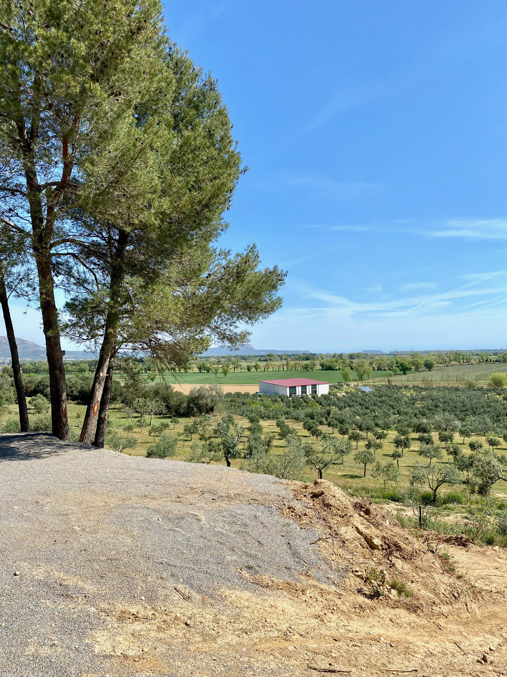 Olivenhain Fontclara Lunch bei Roland Zanotelli Mel B. Catering & Blog