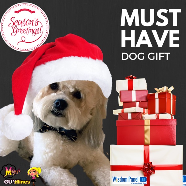 Must Have Gift For Your Dog Wisdom Panel® 3.0 DNA Test