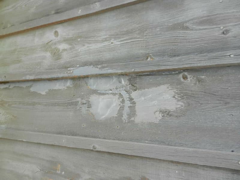 Woodpecker Damage Repair Mela Stucco