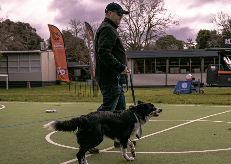 NDIS Dog Training Melbourne Assistance Dogs for Life