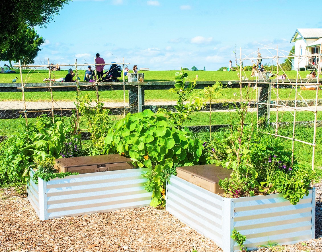 Subpod (Worm Farm + Garden Bed Allinone) Melbourne Foodforest