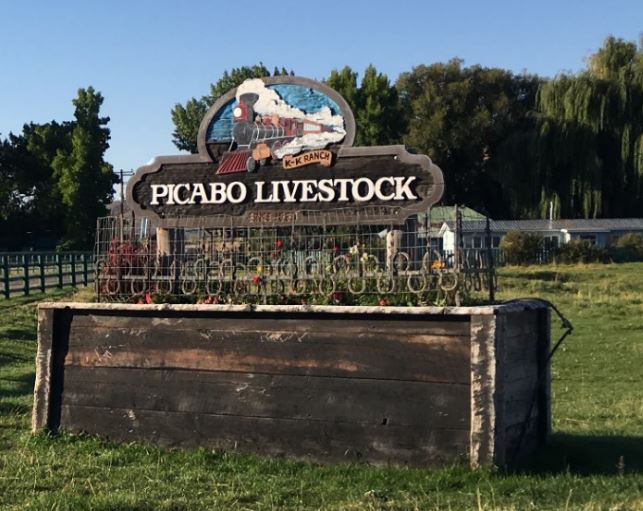 Picabo….Idaho That Is