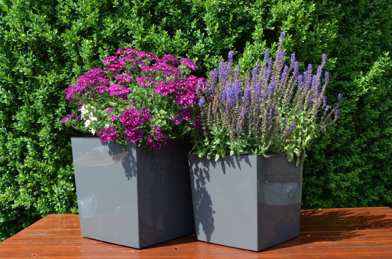Blumentopf Hochglanz Pflanzgefäß Einsatz Eckig Blumenkübel 6 FARBEN 4