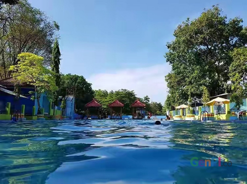 Melihat Bulus di Taman Wisata Tawun Ngawi, Yang Sekarang di Jumpai Melihat Indonesia