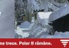 Robinete Schell Polar Robinete Schell