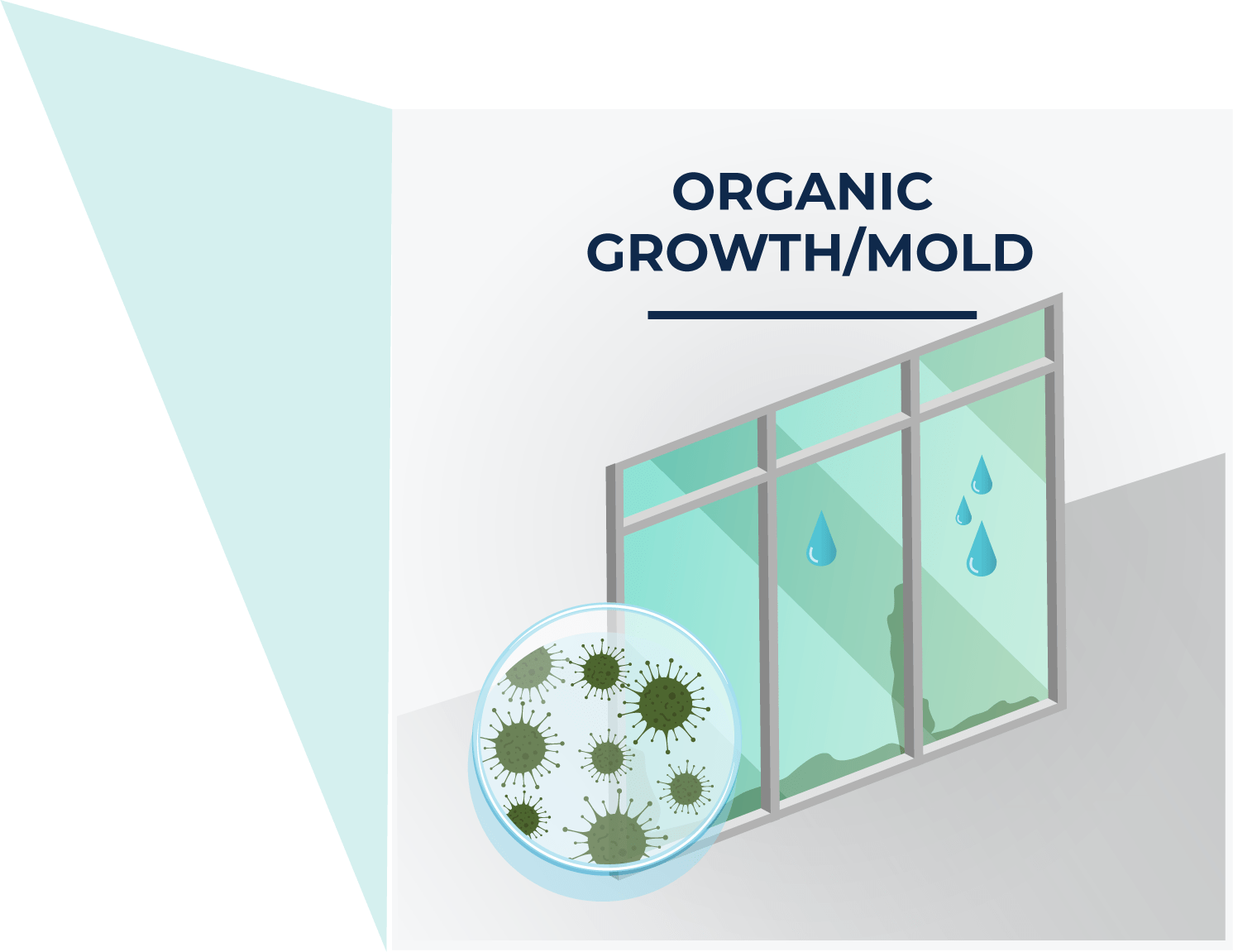 National Test & Balance - HVAC Adjusting & Commissioning