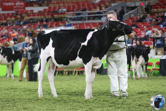 Dairy Agenda Today Dairy News