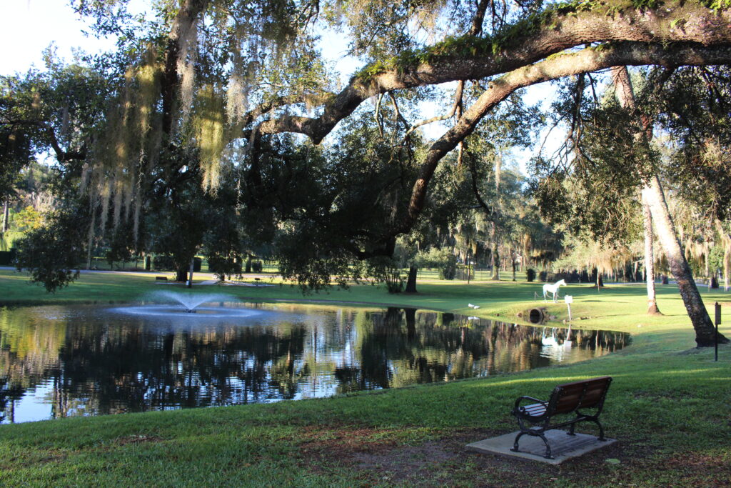 Woodfields Homes & Lots for Sale Melissa Brackett