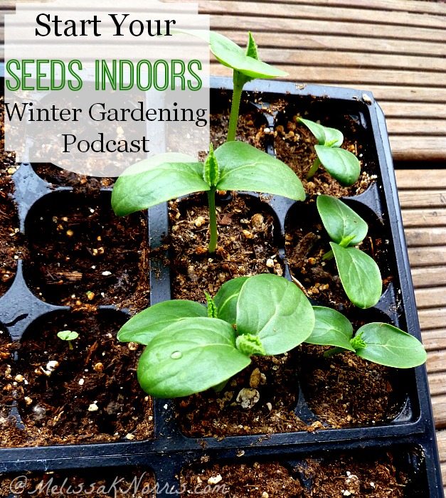 Starting Seeds Indoors Winter Gardening Series Melissa K. Norris