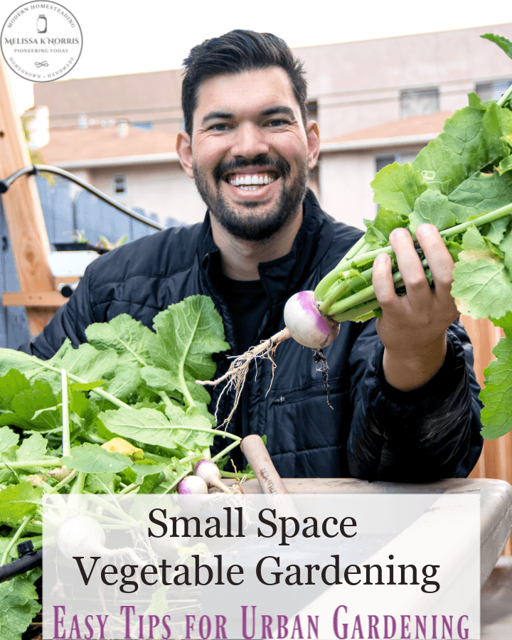 Small Space Vegetable Gardening Urban Gardening Tips Melissa K. Norris