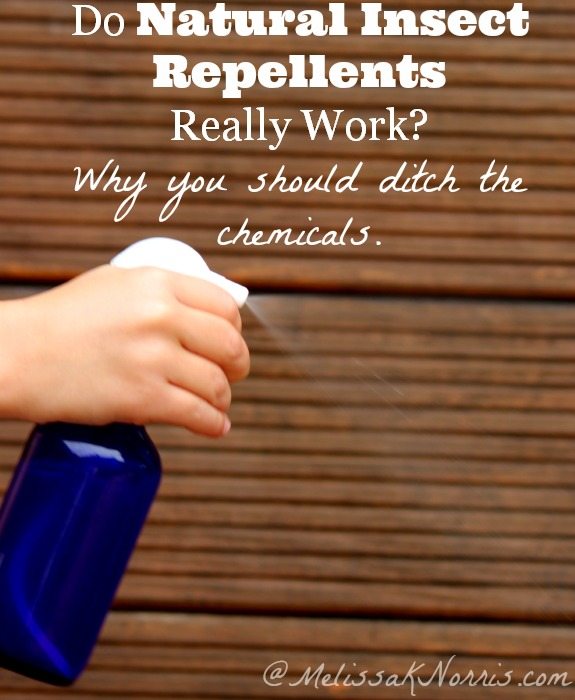 Do Natural Insect Repellents Work and Recipe