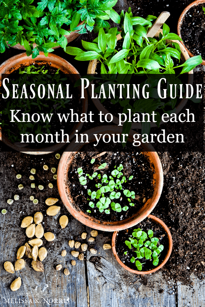 FREE Seasonal Monthly Planting Guide Melissa K. Norris