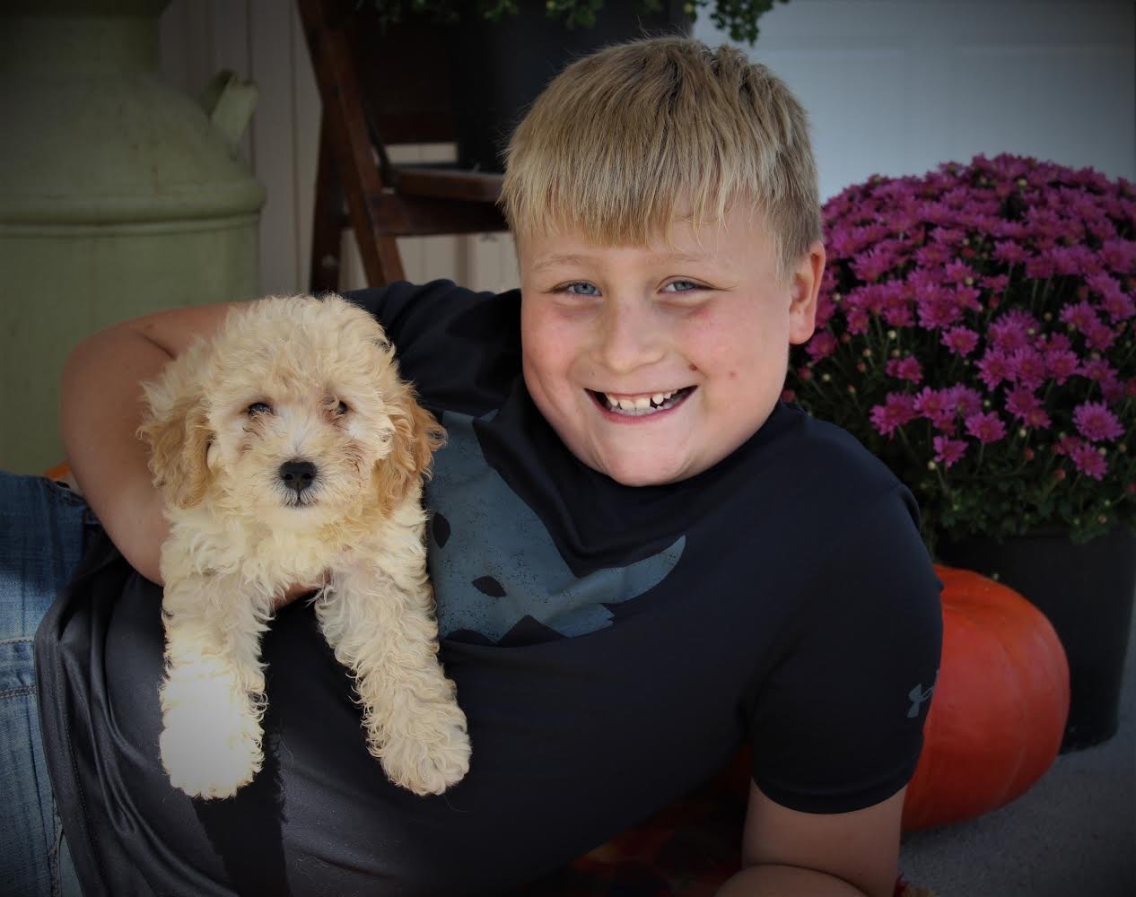 Melissa Marie Professional Dog Breeder Homepage