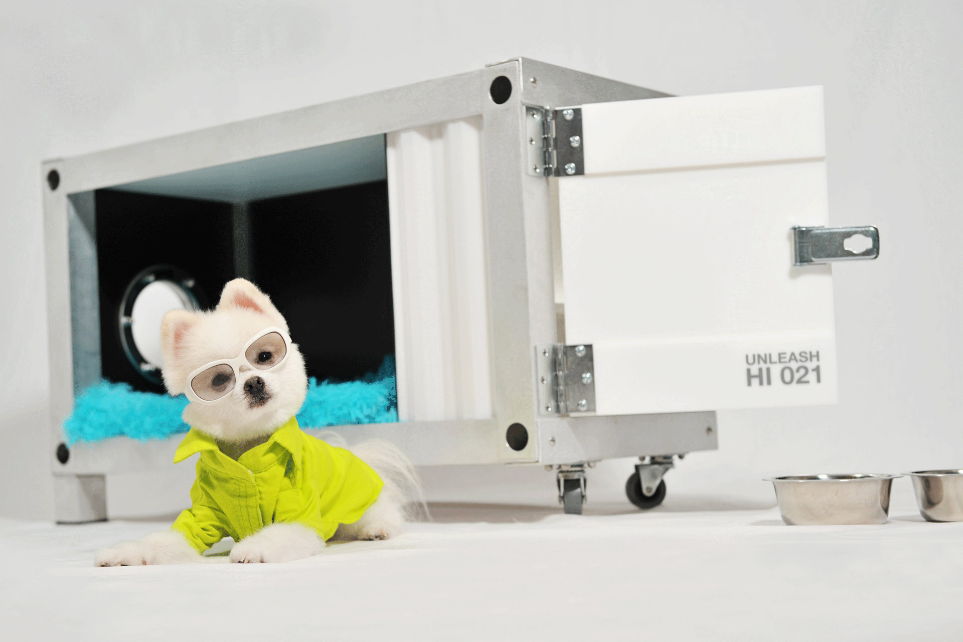 Container Doghouse “21” Melissa Rivera