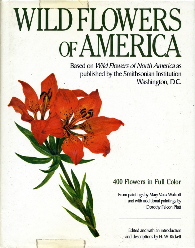 Wild Flowers of America 古本 買取 通販 メルク堂古書店