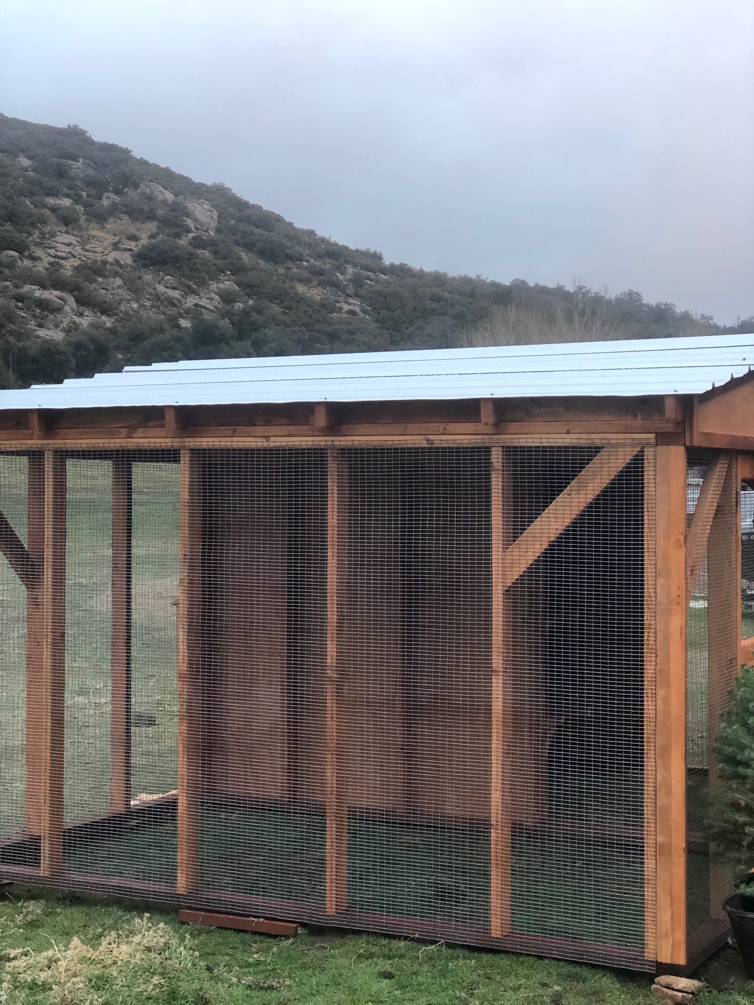 Photos Mellott Chicken Coops