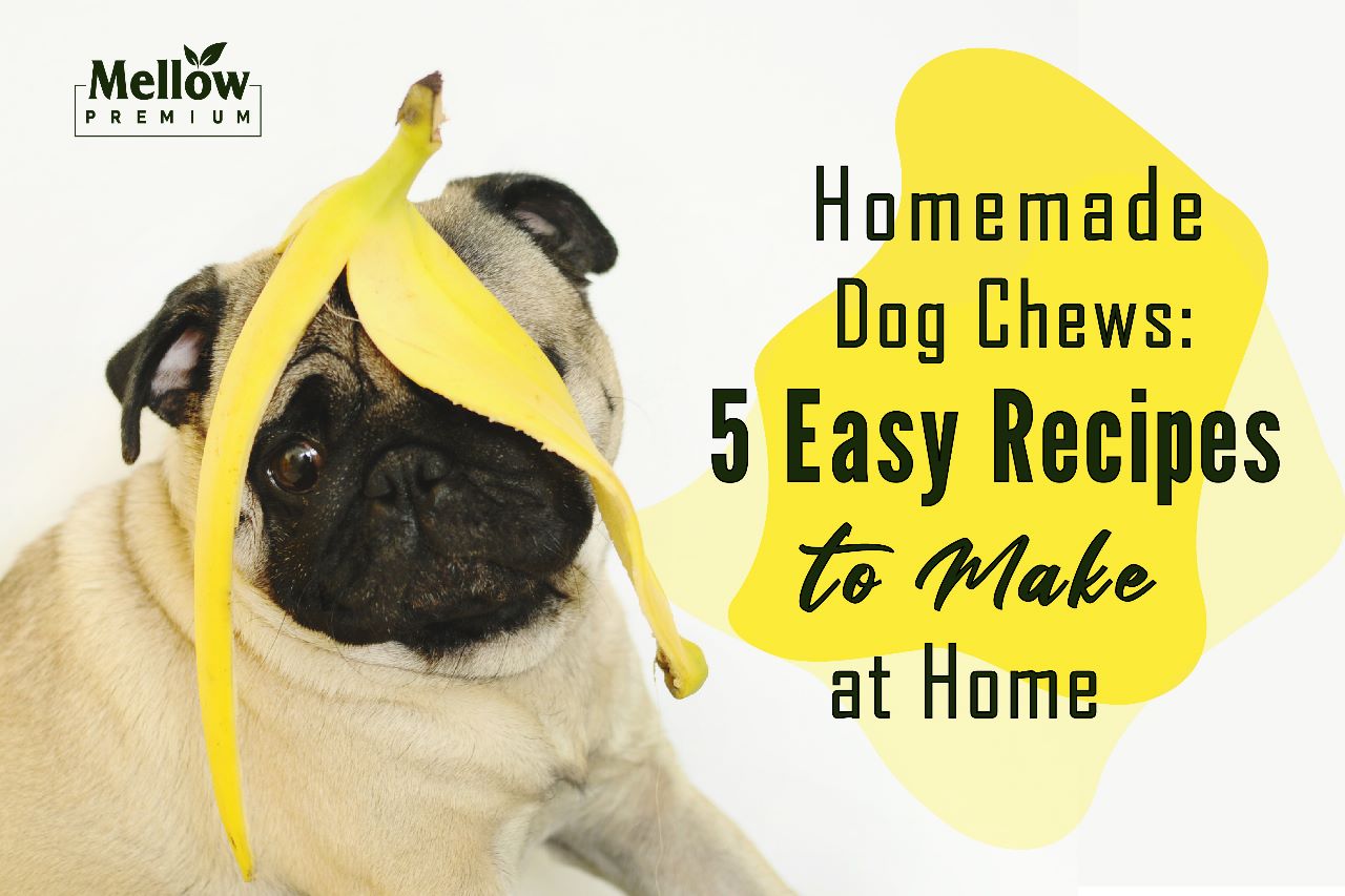 Homemade Dog Chews 5 Easy Recipes to Make at Home Mellow premium