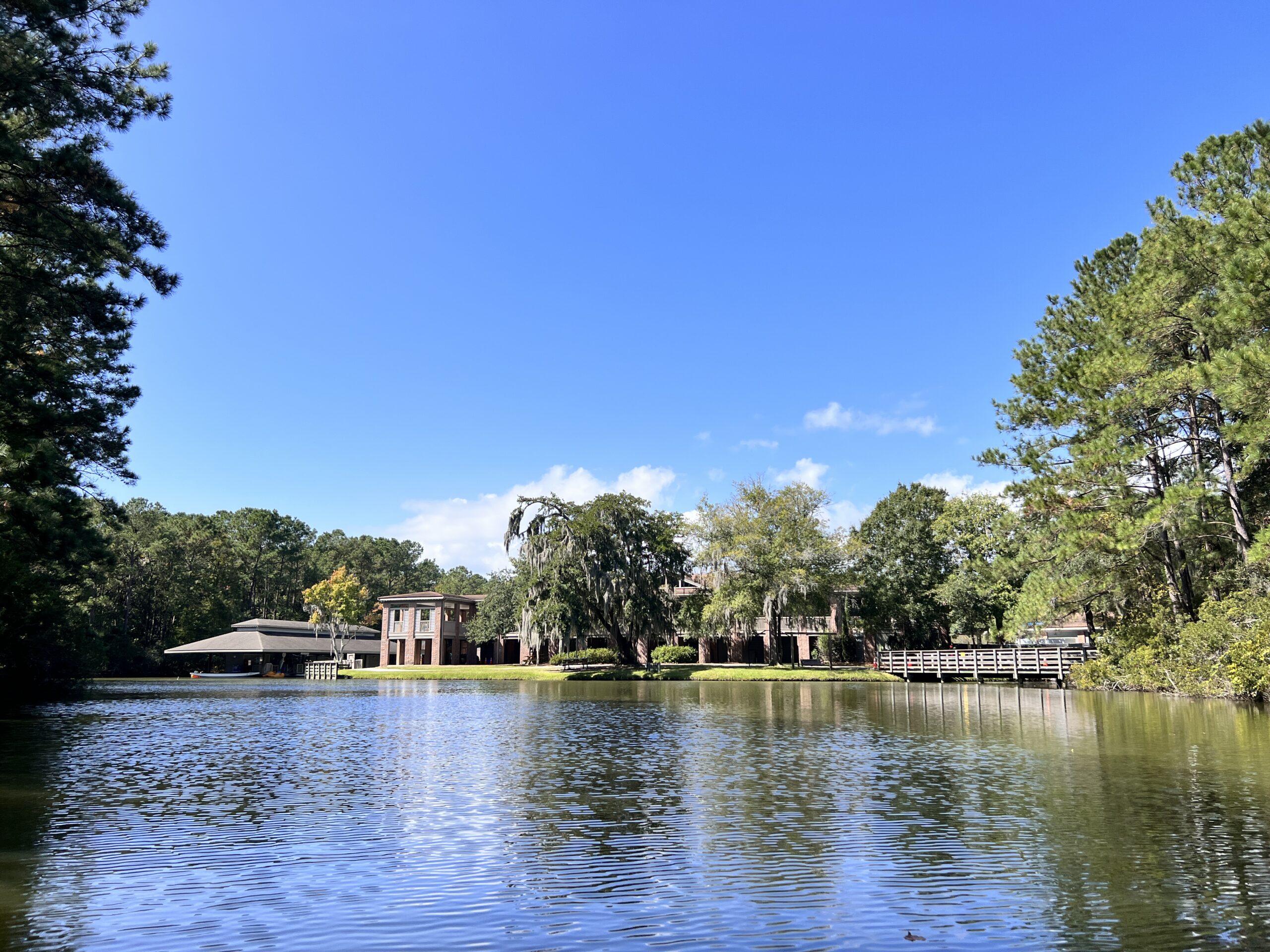 James Island, SC Where The Critters Roam And The Spanish Moss Sways In