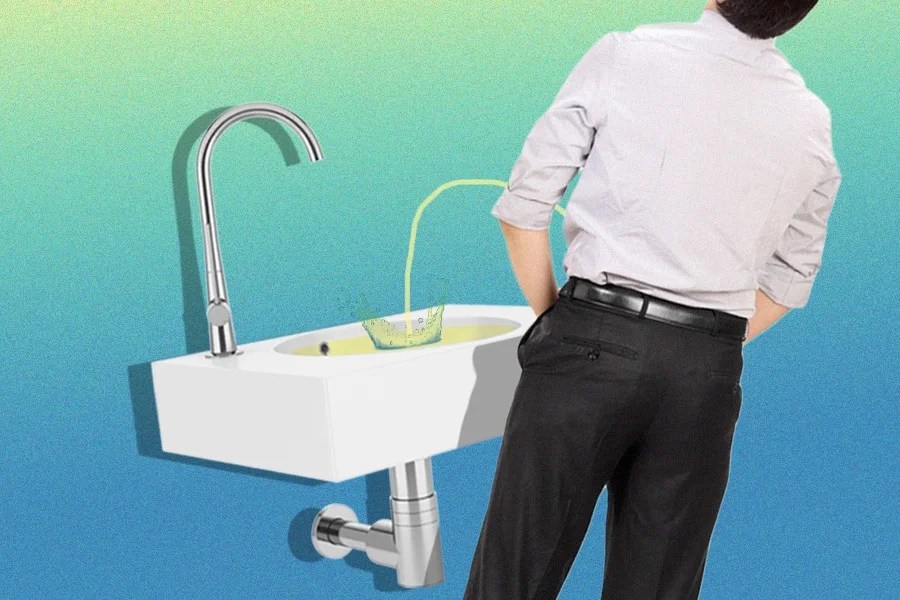 Toward a Grand Unifying Theory of Why Men Pee in the Sink