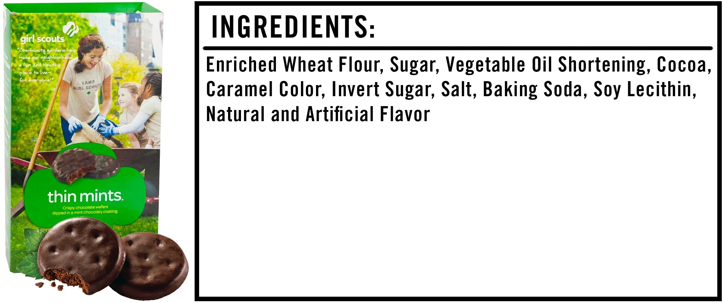 Thin Mints Ingredients What Are the Girl Scouts Selling?