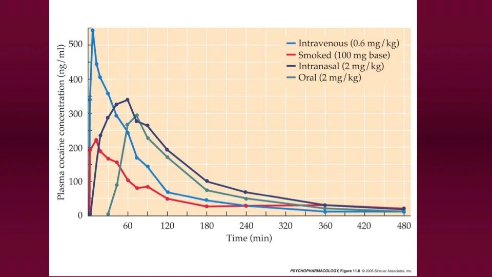 How Long Does Cocaine Last, and When Should I Do More?