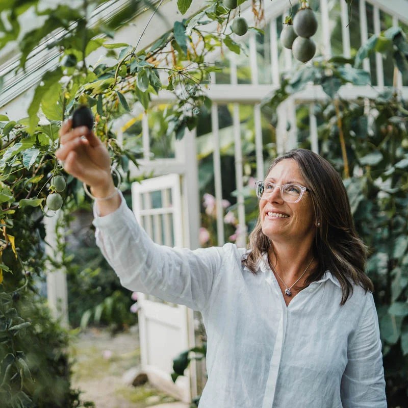 Bespoke Health Journeys Just For You Mel Martin Nutrition