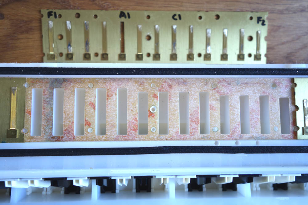 Reed Plates Melodica World