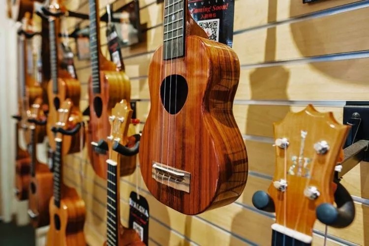 How Much Does A Ukulele Cost? (An Honest Answer)