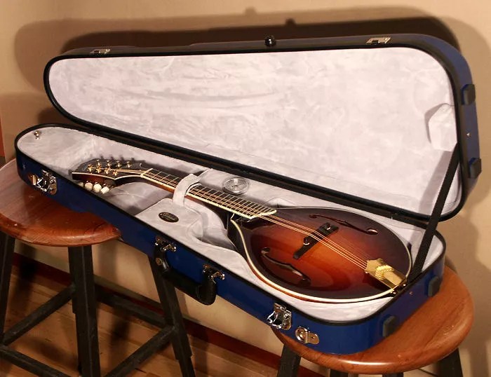 How Much Does a Mandolin Cost? (An Authentic Answer)