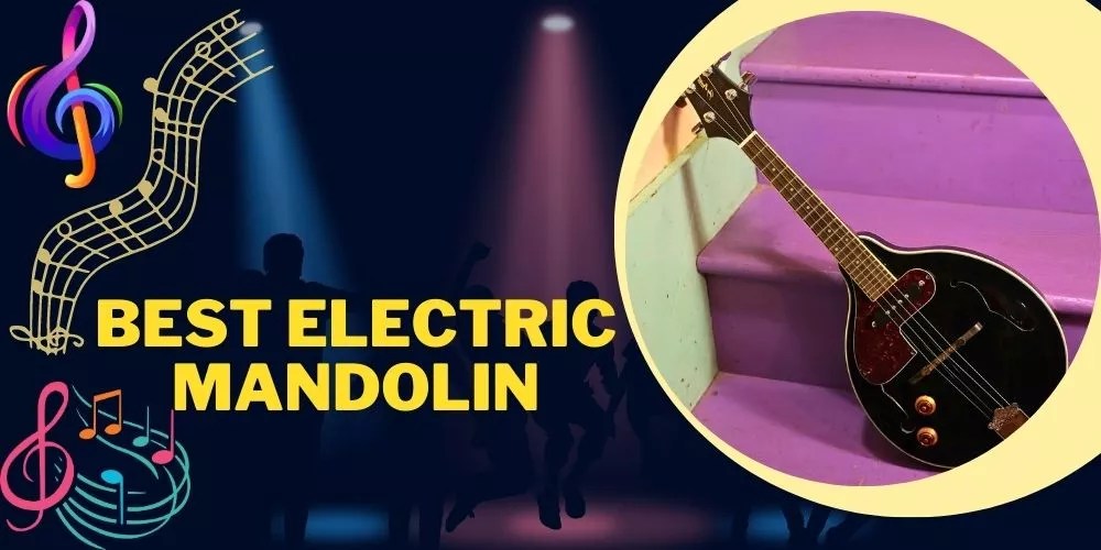 Best Electric Mandolin 2024 (With Reviews & Buying Guide)