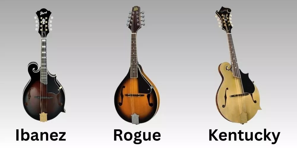 How Much Does a Mandolin Cost? (An Authentic Answer)
