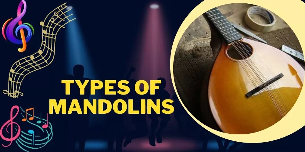 7 Types of Mandolins Explained (With How to Choose Guide)
