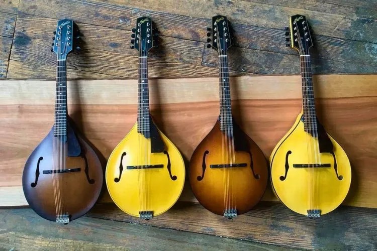 7 Types of Mandolins Explained (With How to Choose Guide)