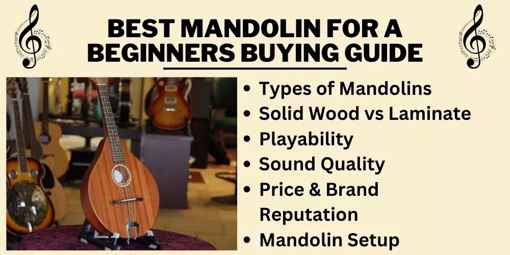 Best mandolin for a beginners 2023 Top Choices Reviewed!