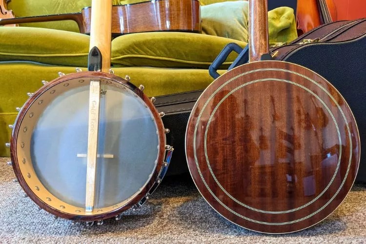 Open back banjo vs closed Detailed Comparison