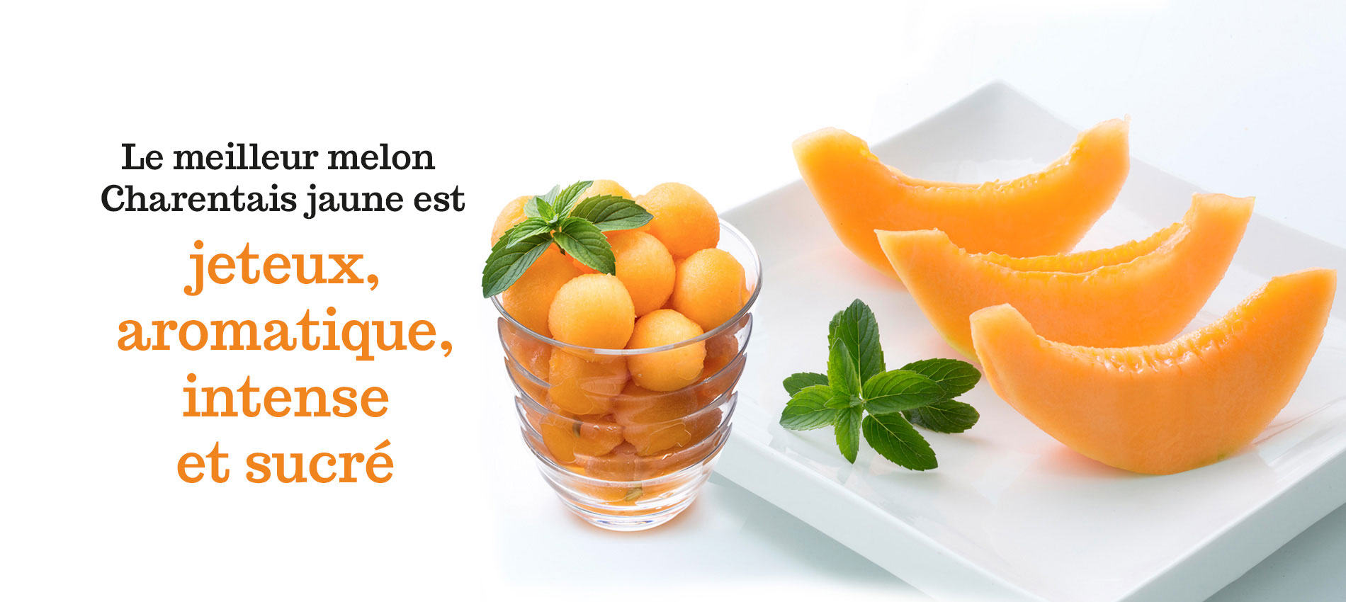 Melon Boulé de Miel Bienvenue
