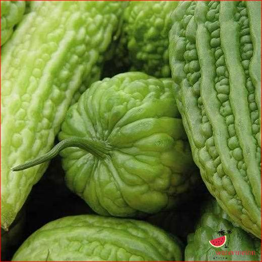 Health Benefits of Bitter Melon