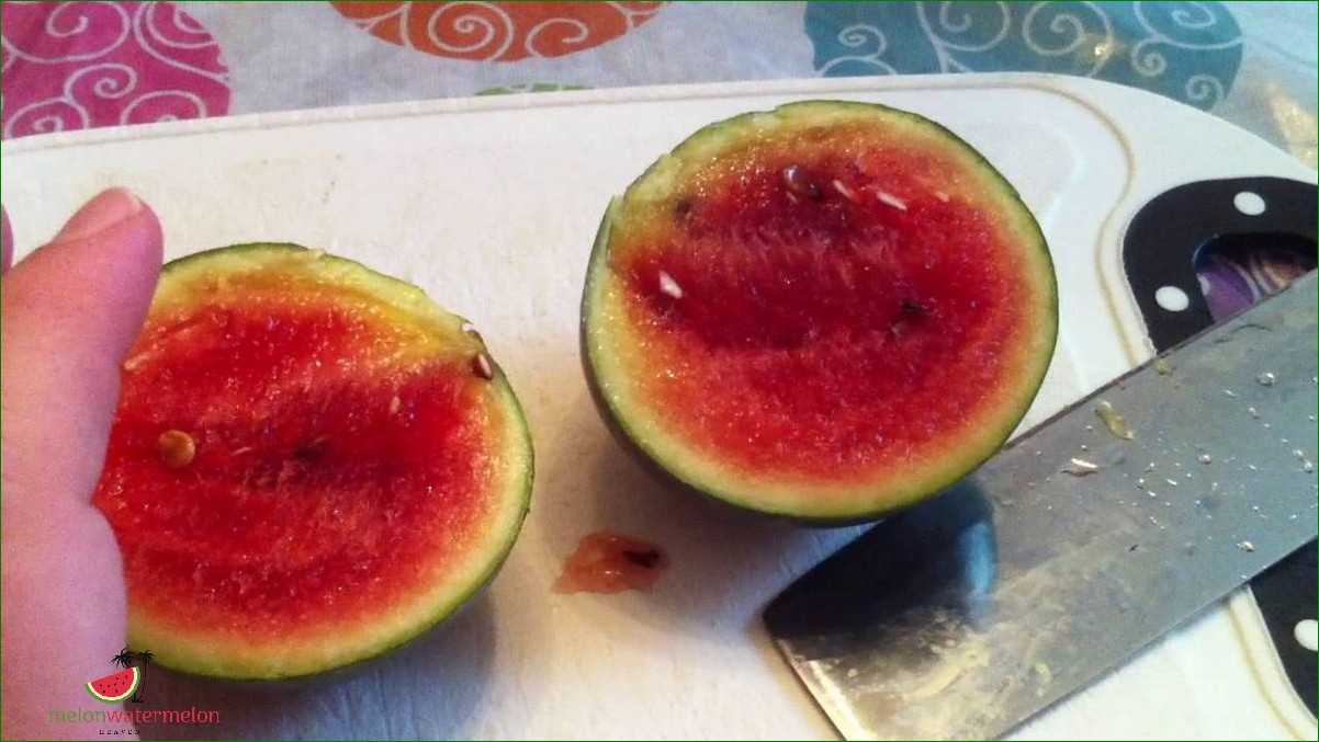 How to Grow Icebox Watermelon: A Comprehensive Guide
