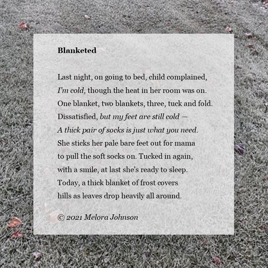 The Friday Poem Blanketed Melora Johnson's Muse