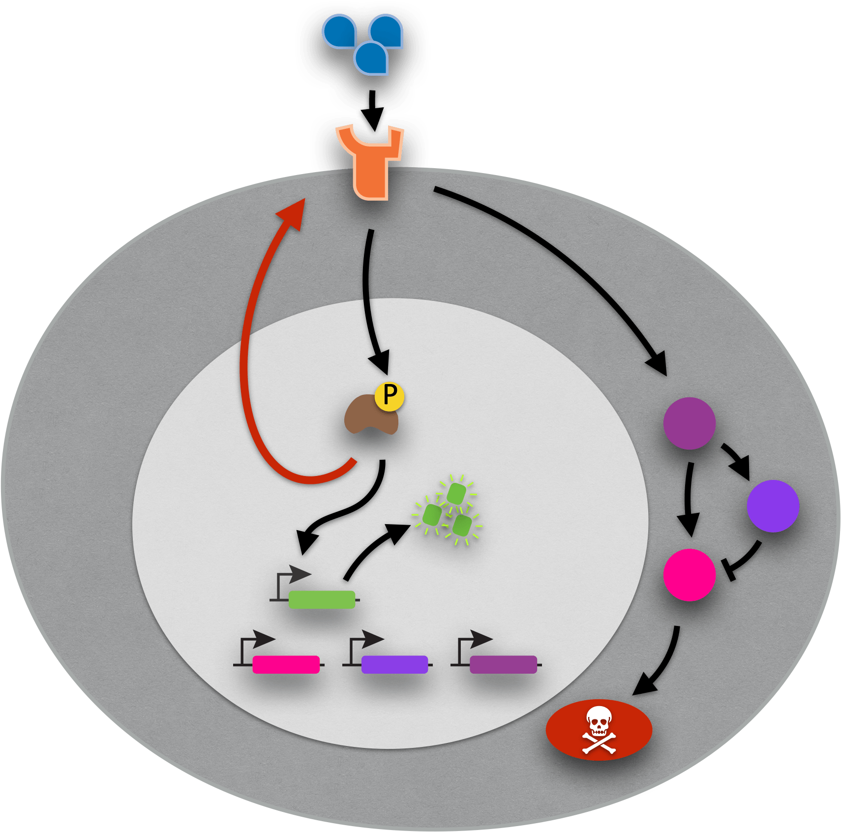 The Elowitz Lab at Caltech