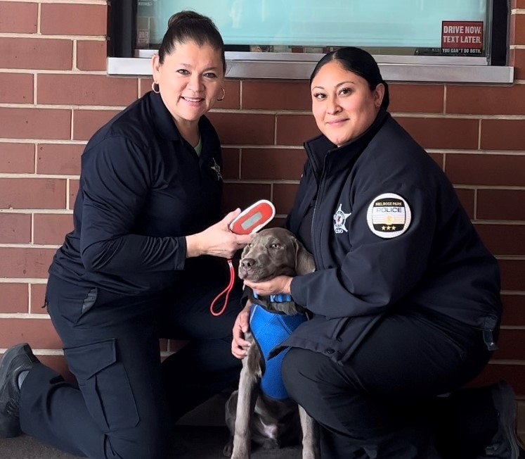 Community Awareness Melrose Park Police Department