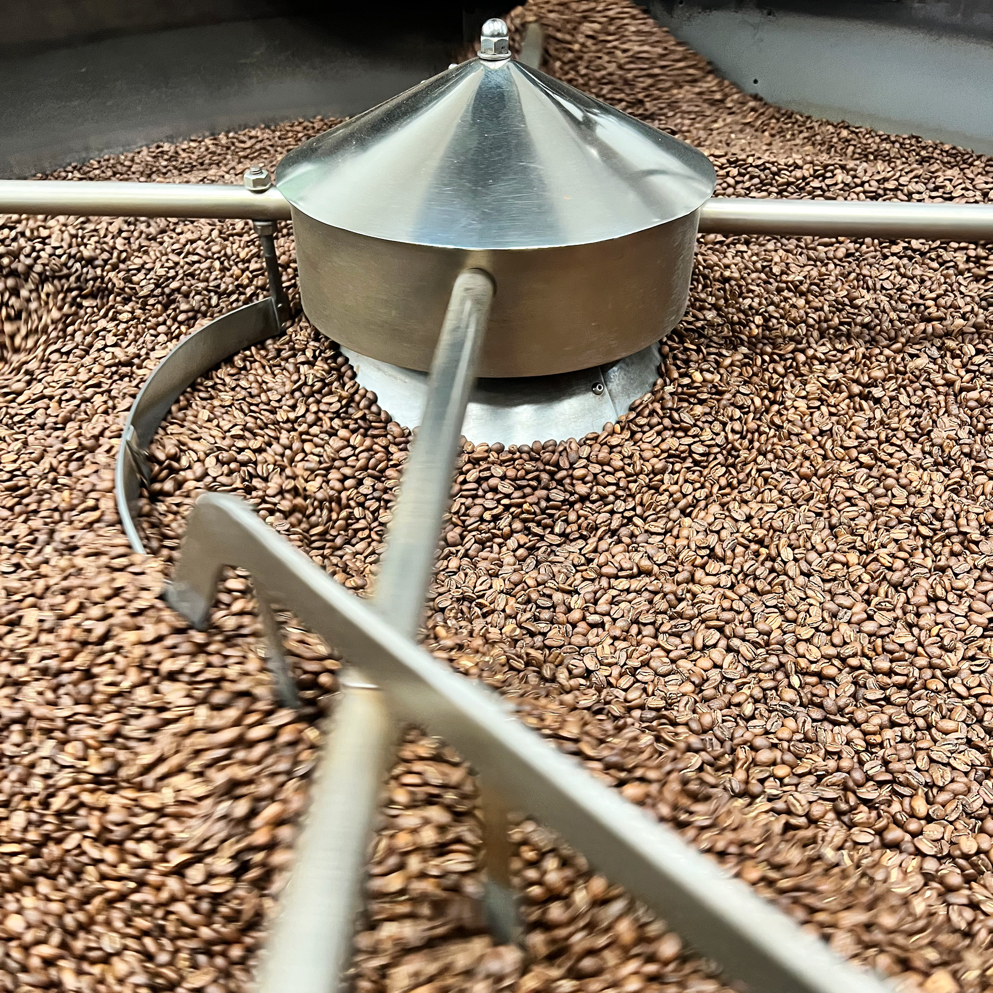 Why is coffee called Arabica? ☕ Melt Chocolates