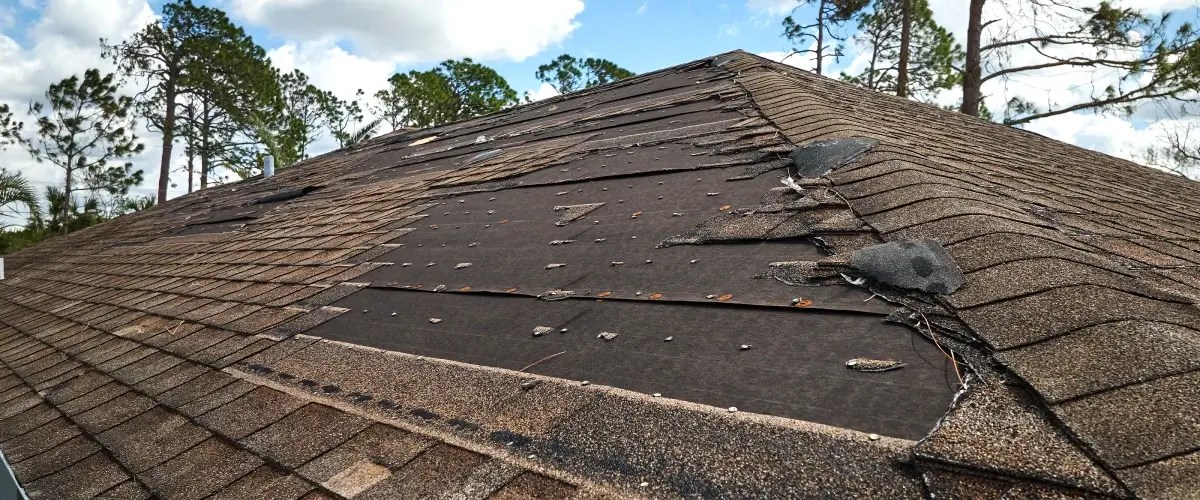Comprehensive Roof Inspections in Grand Rapids, Michigan