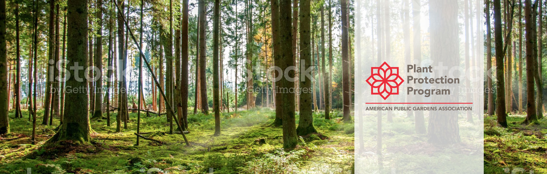 Plant Protection Program APGA