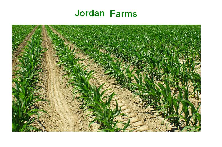 Jordan Farms
