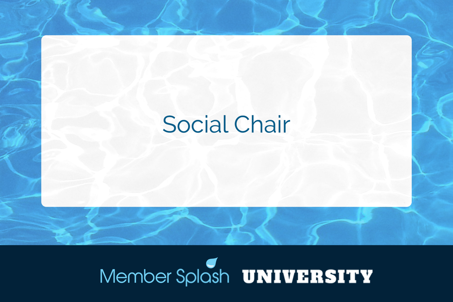 Social Chair Member Splash