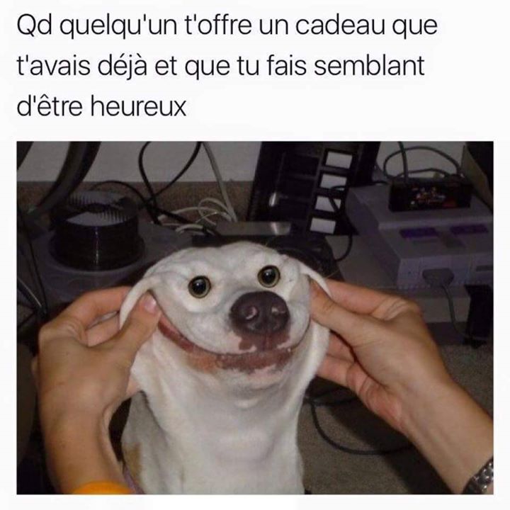 MEME Meme en masse à voir sur MemeGag, la référence du Même Francophone