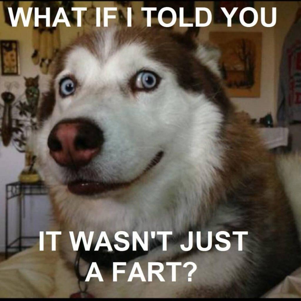 85 Funnniest Fart Meme Meme Central